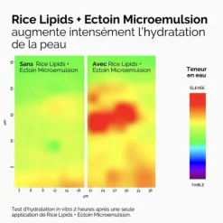 The Ordinary Microémulsion de Lipides de Riz + Ectoïne
