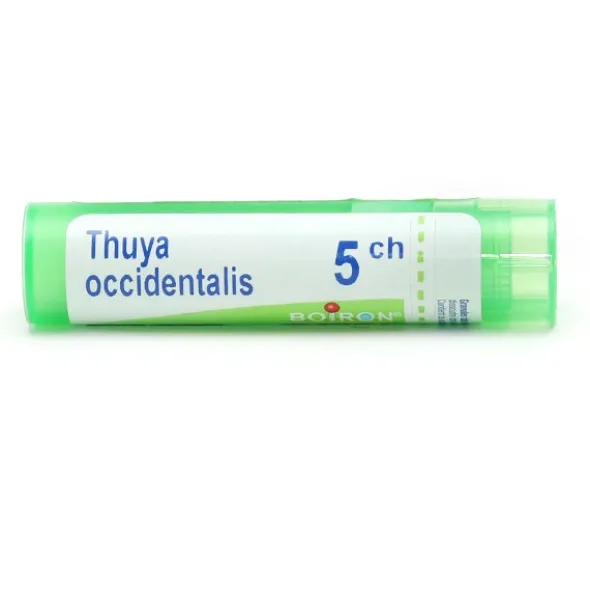 Thuya occidentalis granules homéopathie Boiron