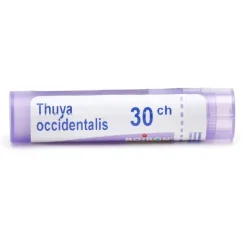 Thuya occidentalis granules homéopathie Boiron
