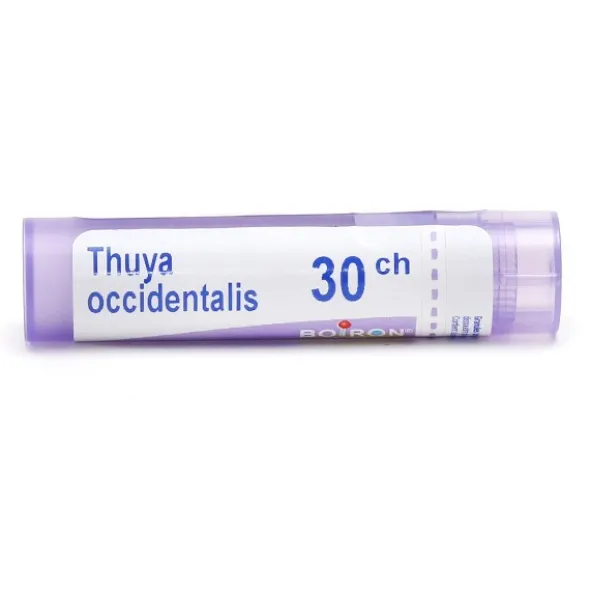 Thuya occidentalis granules homéopathie Boiron
