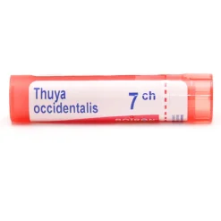 Thuya occidentalis granules homéopathie Boiron