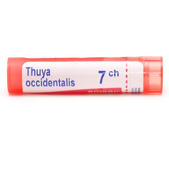 Thuya occidentalis granules homéopathie Boiron