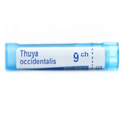 Thuya occidentalis granules homéopathie Boiron
