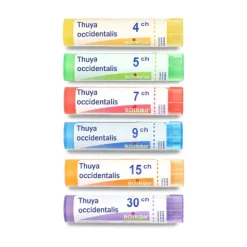 Thuya occidentalis granules homéopathie Boiron