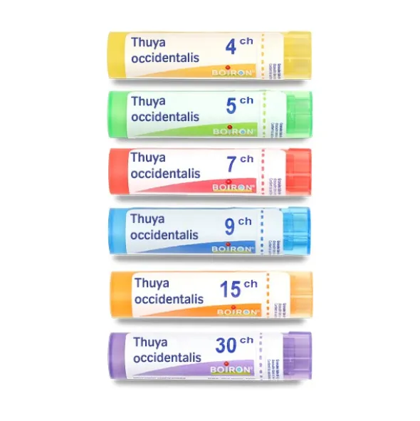 Thuya occidentalis granules homéopathie Boiron