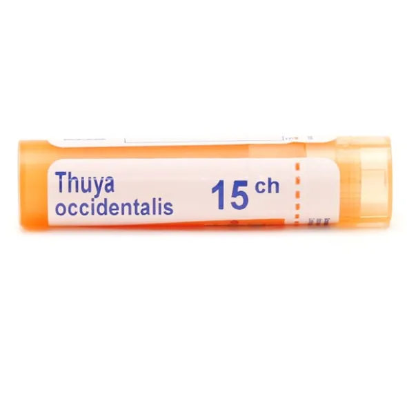 Thuya occidentalis granules homéopathie Boiron