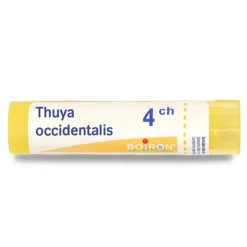 Thuya occidentalis granules homéopathie Boiron