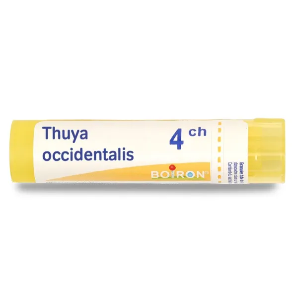 Thuya occidentalis granules homéopathie Boiron