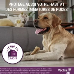 Vectra 3D Pipettes anti puces chien