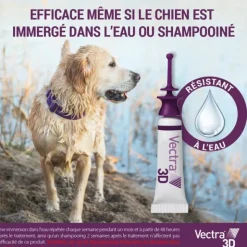 Vectra 3D Pipettes anti puces chien
