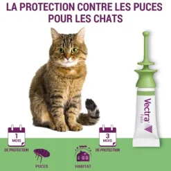 Vectra Felis Pipettes anti puces chat