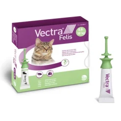 Vectra Felis Pipettes anti puces chat
