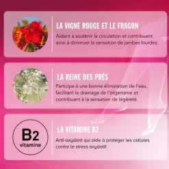 Veinoflux Jambes légères et toniques gélules