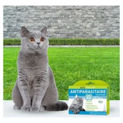 Vetoform antiparasitaire Chat pipettes