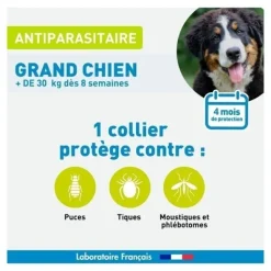 Vetoform Antiparasitaire Collier insectifuge grand chien +30 kg