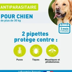 Vetoform antiparasitaire pour chien en pipettes