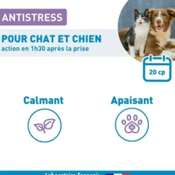 Vetoform anti-stress chien et chat Comprimés