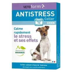 Vetoform collier anti stress chien