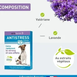 Vetoform collier anti stress chien