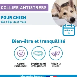 Vetoform collier anti stress chien