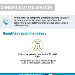 Vetoform Purge naturelle chien grande race comprimés