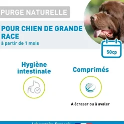 Vetoform Purge naturelle chien grande race comprimés