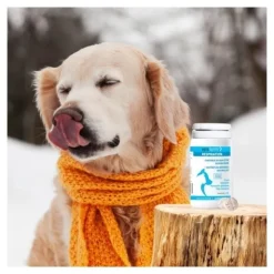 Vetoform Respiration Chat et Chien comprimés
