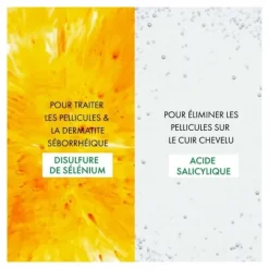Vichy Dercos Shampooing Anti pelliculaire DS cheveux normaux à gras