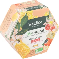 Vitaflor Bio Énergie Gelée Royale 1000 mg ampoules