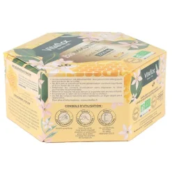 Vitaflor Gelée royale bio 2500 mg Bio immunité ampoules