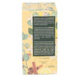 Vitaflor Grog infusion sachets