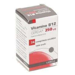 Vitamine B12 Gerda comprimé 250 µg