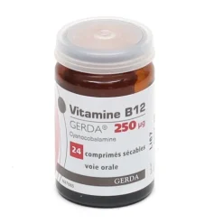 Vitamine B12 Gerda comprimé 250 µg