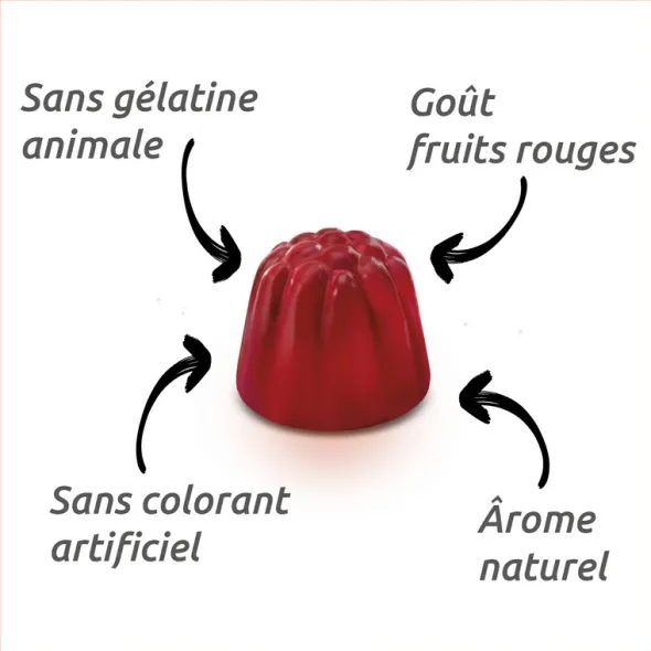 Vitascorbol Energie gummies