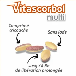 Vitascorbol Multi comprimés