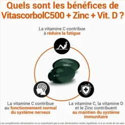 Vitascorbol Vitamine C 500 + Zinc + Vitamine D capsules