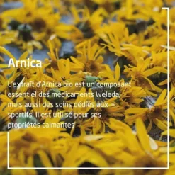 Weleda Arnica bain récupération sportive