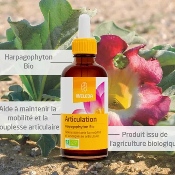 Weleda Articulation Harpagophyton Bio