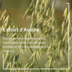 Weleda Avoine après-shampooing régénérant bio