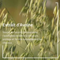 Weleda Avoine Shampooing régénérant