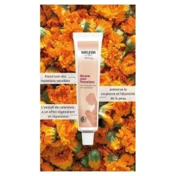 Weleda Baume pour mamelons bio