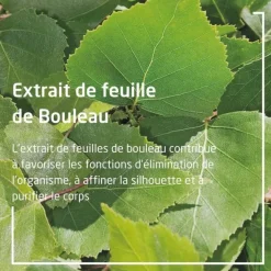 Weleda Bouleau Huile de massage minceur