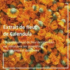 Weleda Calendula huile de massage Bio