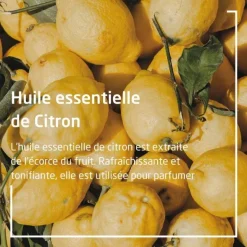 Weleda Citrus crème mains ongles nourrissante
