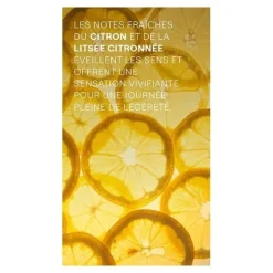 Weleda Crème de Douche
