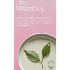 Weleda Crème de nuit lissante Rose musquée et Thé blanc Bio