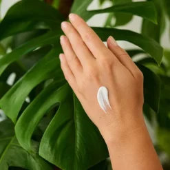 Weleda Crème mains antioxydante à la grenade Bio