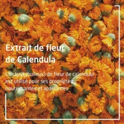 Weleda Crème protectrice calendula