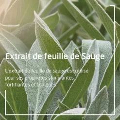 Weleda gel gingival à la Sauge