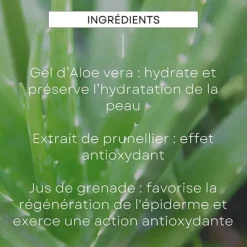 Weleda Homme sérum multi action 5 en 1 Age Protect bio